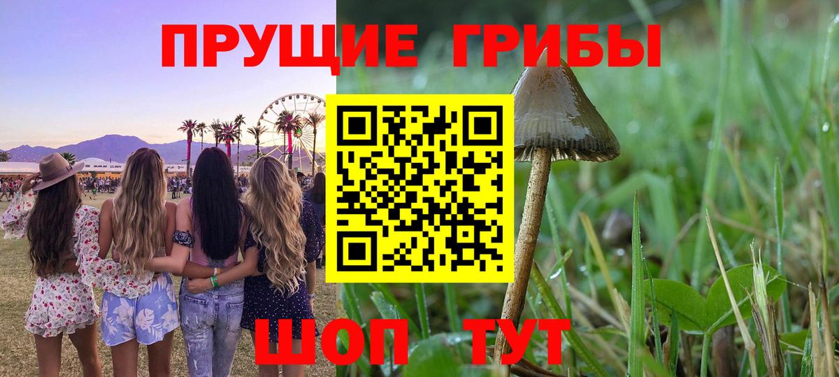 Псилоцибиновые грибы Psilocybine cubensis  Вход с VPN  Галлюциногенные грибы мухоморы  где купить наркотик  Гусь-Хрустальный 